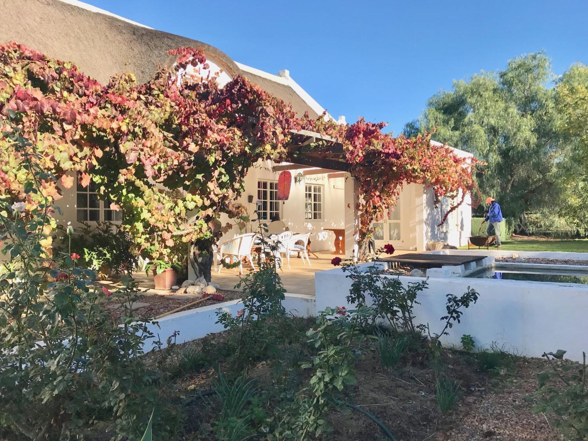 Guest house The Grand Marigold